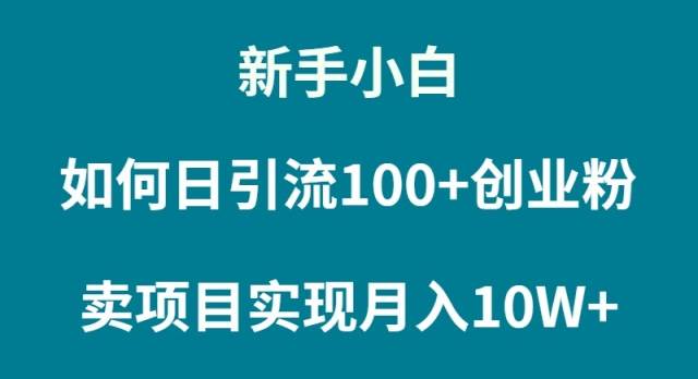 新手小白如何通过卖项目实现月入10W+-金点子优创