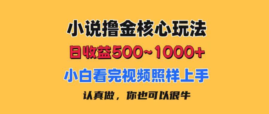 小说撸金核心玩法,日收益500-1000+,小白看完照样上手,0成本有手就行-金点子优创