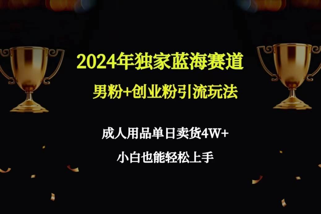 2024年独家蓝海赛道男粉+创业粉引流玩法，成人用品单日卖货4W+保姆教程-金点子优创