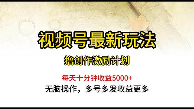 视频号最新玩法，每日一小时月入5000+-金点子优创