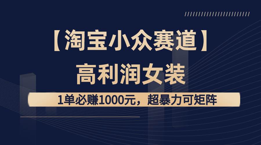 【淘宝小众赛道】高利润女装：1单必赚1000元，超暴力可矩阵-金点子优创