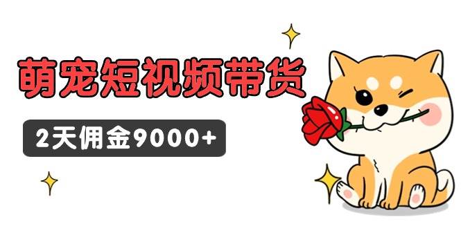东哲日记·萌宠短视频带货，2天佣金9000+-金点子优创