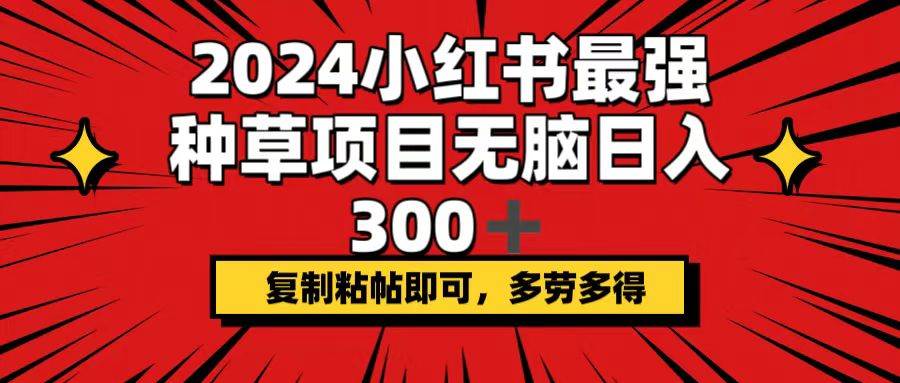 2024小红书最强种草项目，无脑日入300+，复制粘帖即可，多劳多得-金点子优创