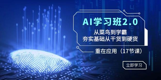 AI学习班2.0：从菜鸟到学霸，夯实基础从干货到硬货，重在应用（17节课）-金点子优创