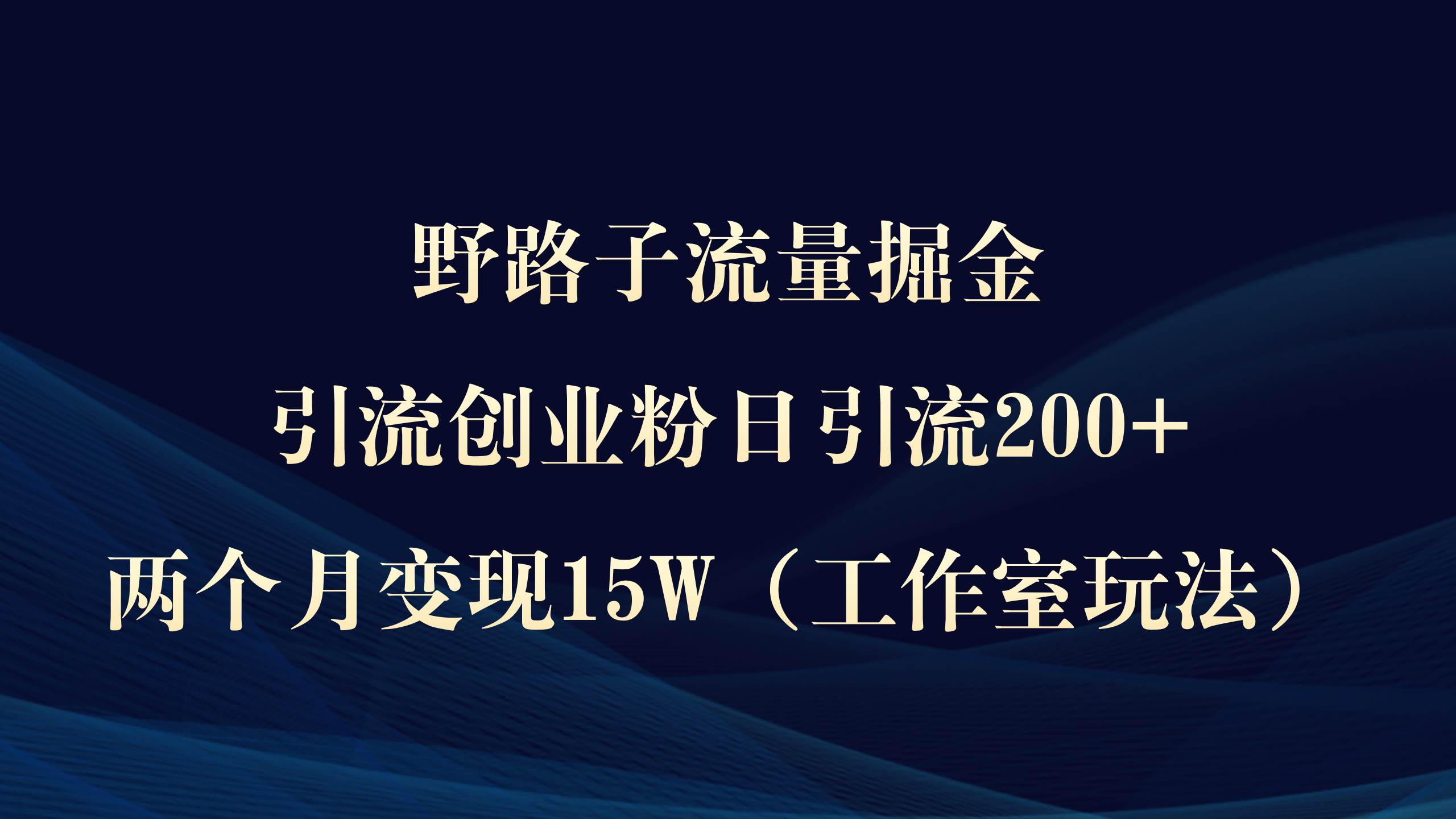 野路子流量掘金，引流创业粉日引流200+，两个月变现15W（工作室玩法））-金点子优创