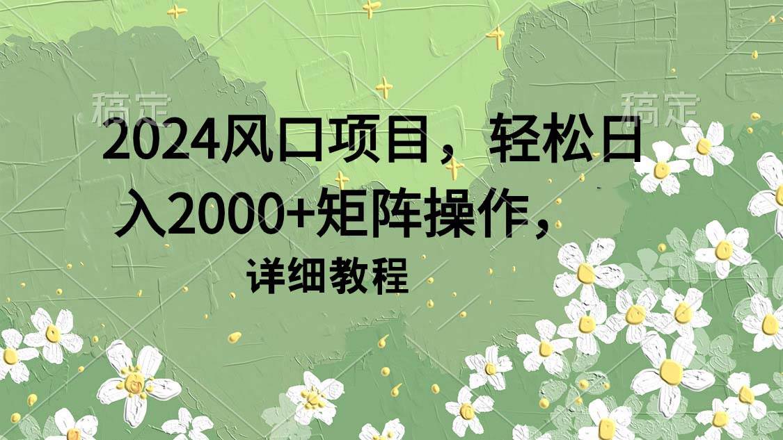 2024风口项目，轻松日入2000+矩阵操作，详细教程-金点子优创