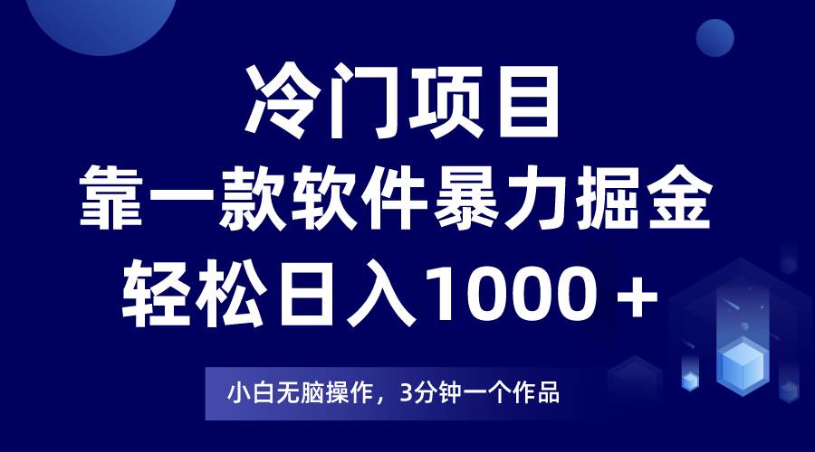 冷门项目，靠一款软件暴力掘金日入1000＋，小白轻松上手第二天见收益-金点子优创