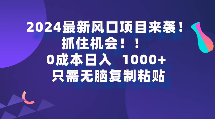 2024最新风口项目来袭，抓住机会，0成本一部手机日入1000+，只需无脑复…-金点子优创