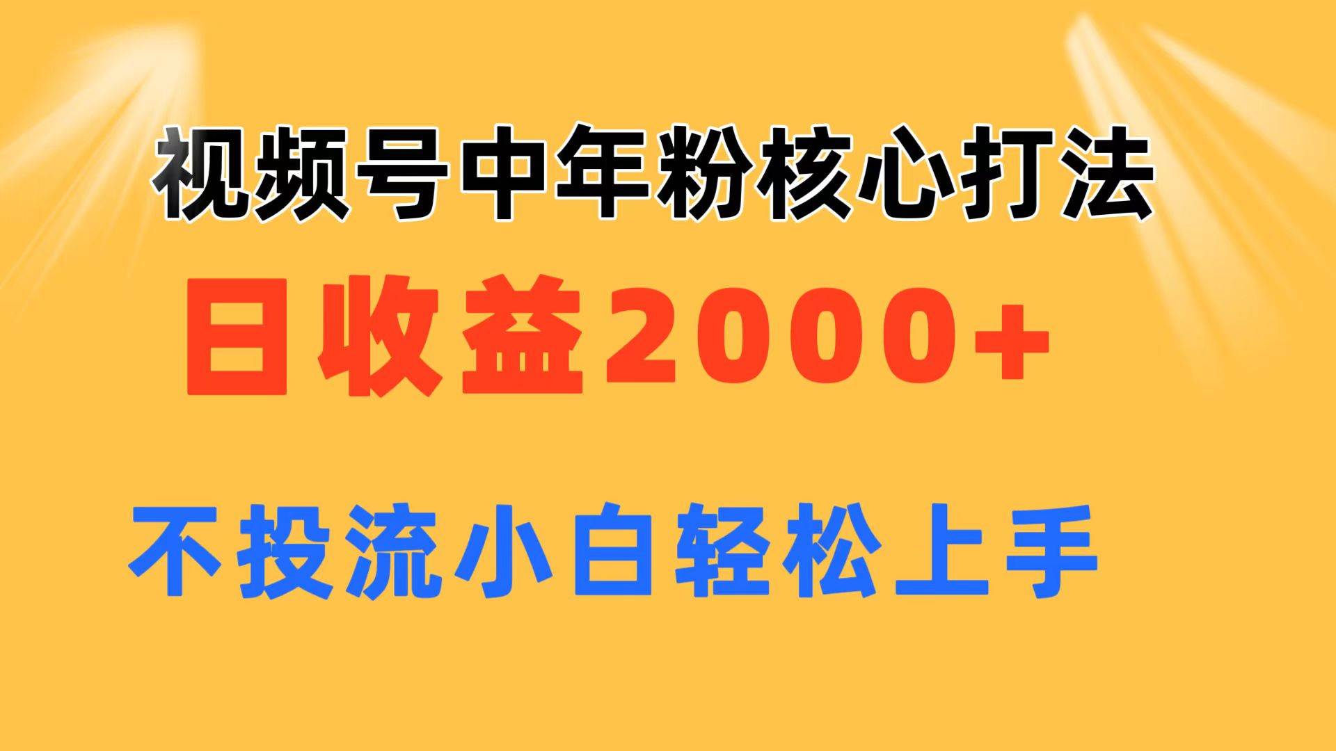 视频号中年粉核心玩法 日收益2000+ 不投流小白轻松上手-金点子优创