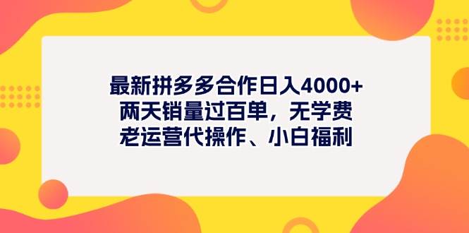最新拼多多项目日入4000+两天销量过百单，无学费、老运营代操作、小白福利-金点子优创