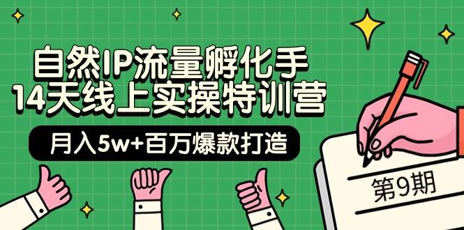 自然IP流量孵化手 14天线上实操特训营【第9期】月入5w+百万爆款打造 (74节)-金点子优创
