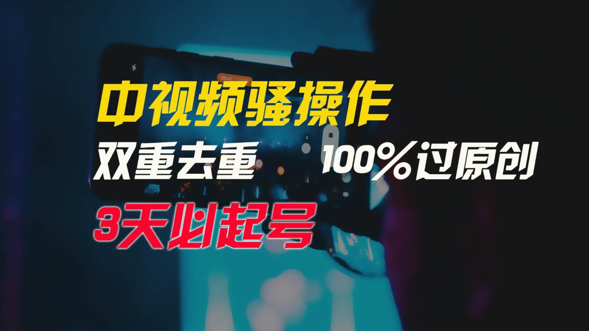 中视频骚操作，双重去重100%过原创，3天比必起号，简单无脑，月入3W+-金点子优创