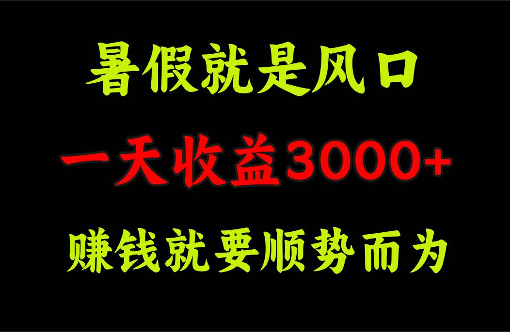 一天收益3000+ 赚钱就是顺势而为,暑假就是风口-金点子优创