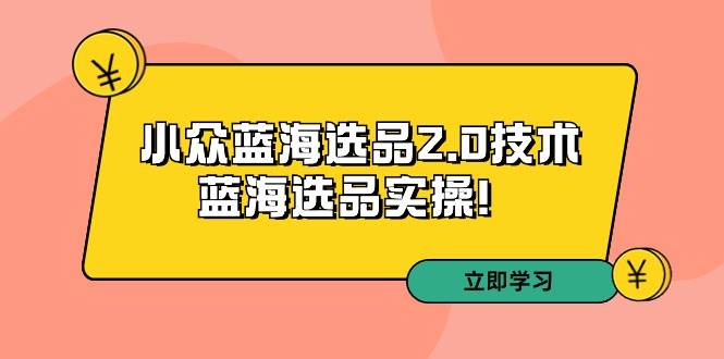 拼多多培训第33期：小众蓝海选品2.0技术-蓝海选品实操！-金点子优创