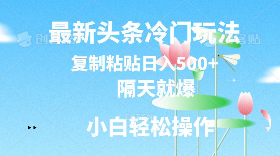 最新头条冷门玩法，隔天就爆，复制粘贴日入500+-金点子优创