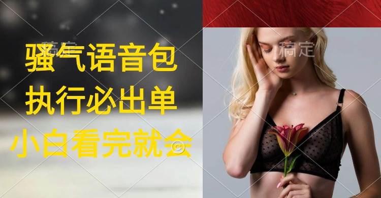 执行就出单，日入2000+，超火骚气语音包，小白看完课程就能马上实操-金点子优创