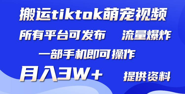 搬运Tiktok萌宠类视频，一部手机即可。所有短视频平台均可操作，月入3W+-金点子优创