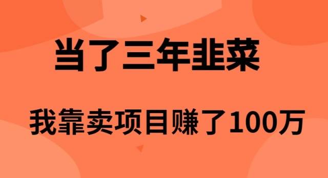 当了3年韭菜，我靠卖项目赚了100万-金点子优创