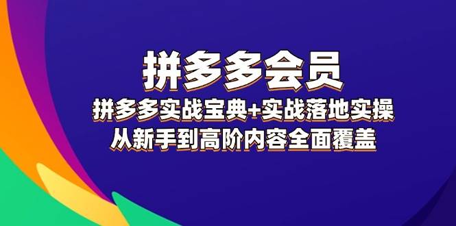 拼多多 会员，拼多多实战宝典+实战落地实操，从新手到高阶内容全面覆盖-金点子优创