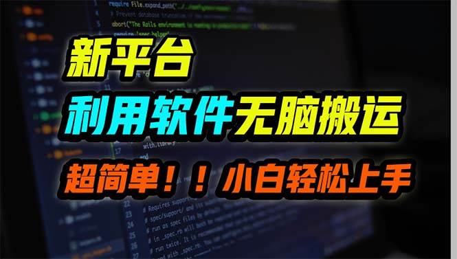 新平台用软件无脑搬运，月赚10000+，小白也能轻松上手-金点子优创
