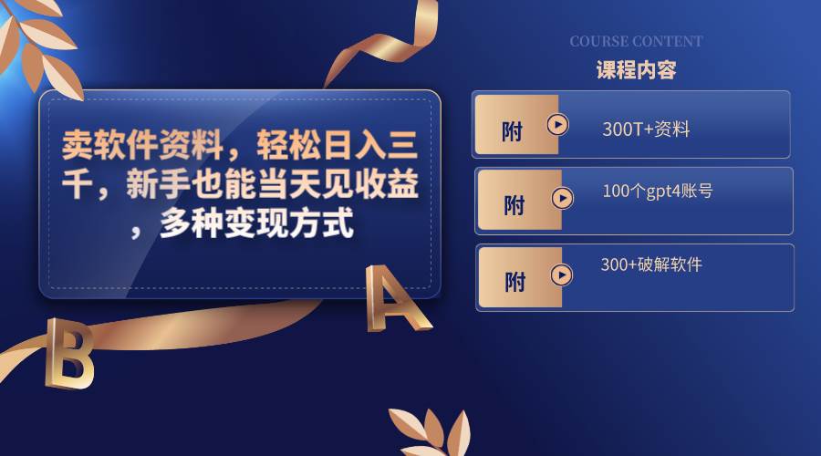 卖软件资料，轻松日入三千，新手也能当天见收益，多种变现方式，（附300T+资料，100个gpt4账号，300+破解软件）-金点子优创