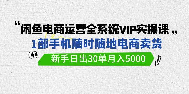 闲鱼电商运营全系统VIP实战课，1部手机随时随地卖货，新手日出30单月入5000-金点子优创