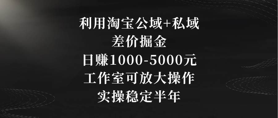 利用淘宝公域+私域差价掘金，日赚1000-5000元，工作室可放大操作，实操…-金点子优创