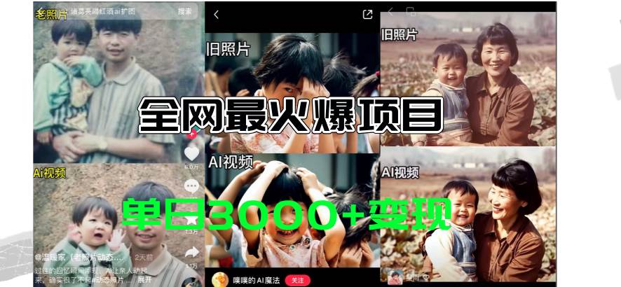 全网爆火的AI让老照片动起来教程，蹭热点日赚3000+，内含免费工具一键…-金点子优创