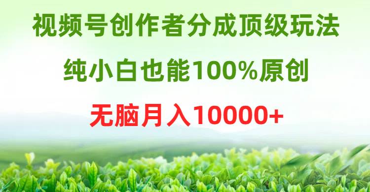 视频号创作者分成顶级玩法，纯小白也能100%原创，无脑月入10000+-金点子优创