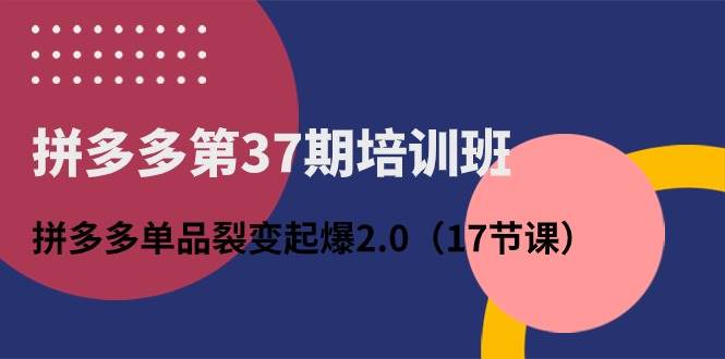 拼多多第37期培训班：拼多多单品裂变起爆2.0（17节课）-金点子优创