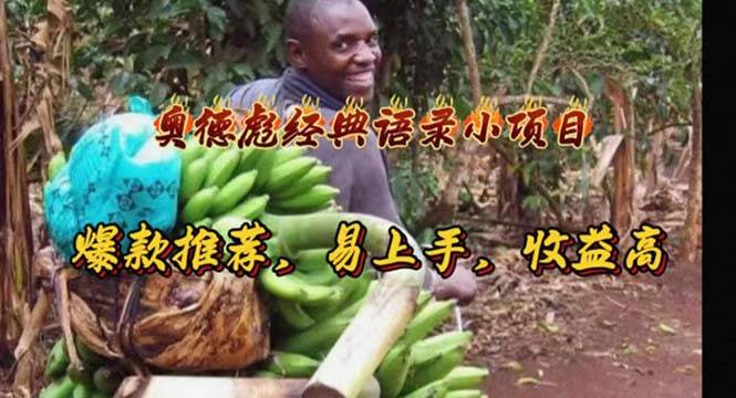 奥德彪经典语录小项目，爆款推荐，易上手，收益高-金点子优创