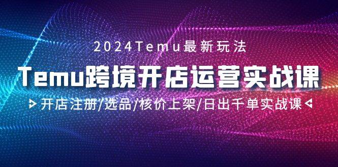 2024Temu跨境开店运营实战课，开店注册/选品/核价上架/日出千单实战课-金点子优创