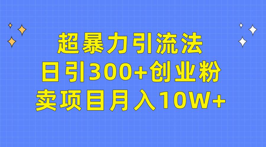 超暴力引流法，日引300+创业粉，卖项目月入10W+-金点子优创