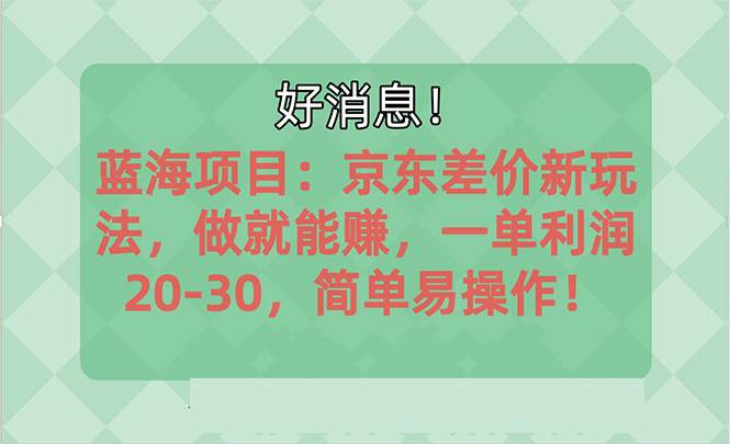 越早知道越能赚到钱的蓝海项目：京东大平台操作，一单利润20-30，简单…-金点子优创