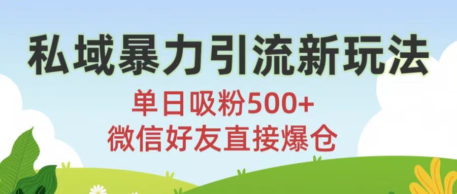私域暴力引流新玩法!单日吸粉500+，微信好友直接爆仓-金点子优创