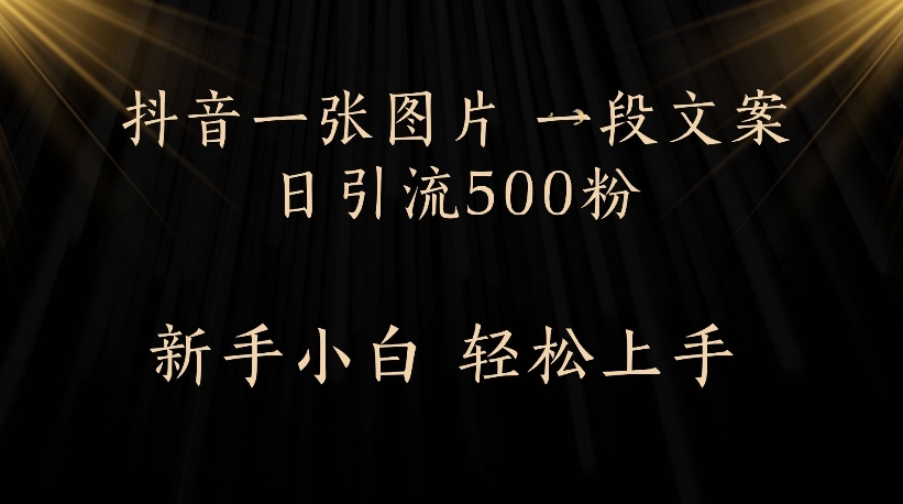 抖音一张图片,一段文案日引流500粉,新手小白 轻松上手-金点子优创