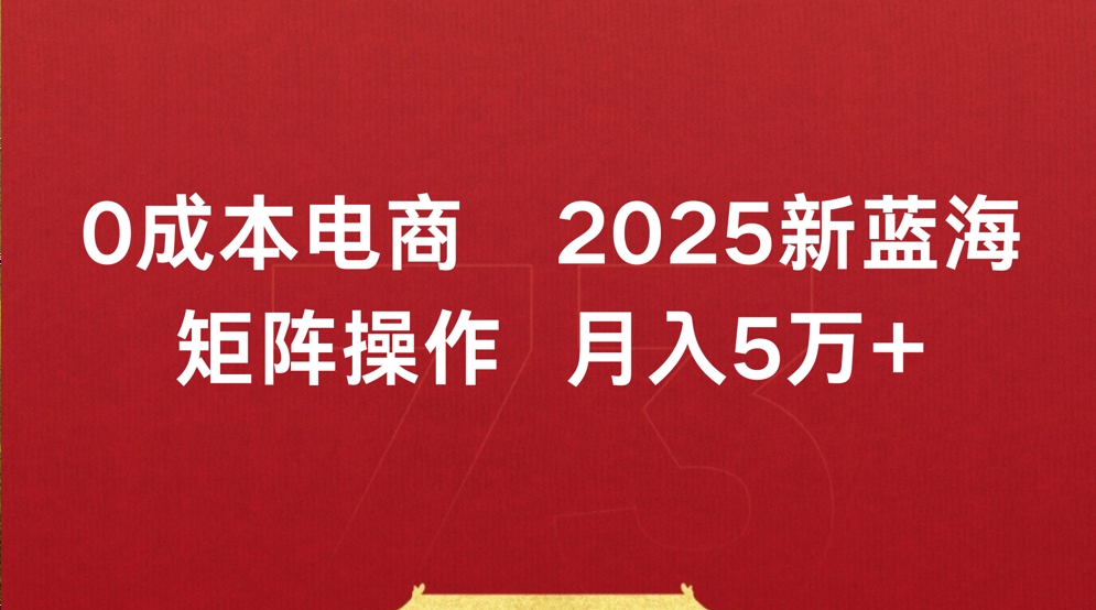 0成本电商2025新蓝海矩阵操作 月入5万+-金点子优创