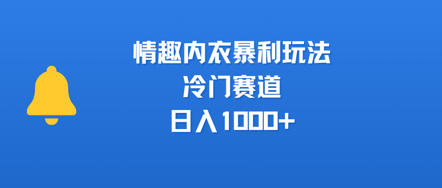 情趣内衣暴利玩法,冷门赛道,日入1000+-金点子优创