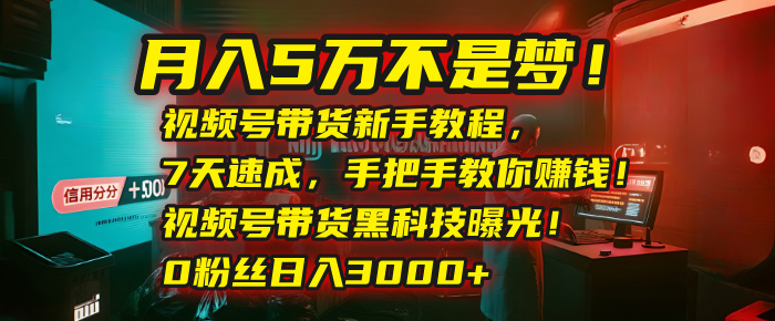 月入5万不是梦!视频号带货新手教程,7天速成,手把手教你赚钱!视频号带货黑科技曝光!0粉丝日入3000+-金点子优创