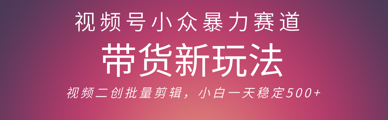视频号小众暴力赛道，最新带货玩法 小白也能轻松日入500+ 保姆及教程-金点子优创