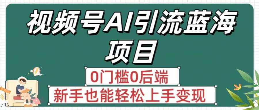 疯传!视频号AI引流蓝海项目,0门槛0后端,新手也能轻松上手变现-金点子优创