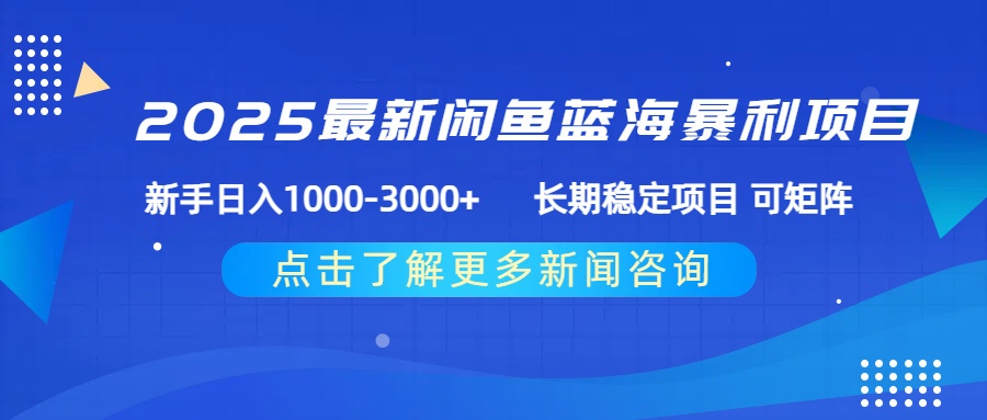 2025最新闲鱼蓝海暴利项目 ，新手日入1000-3000+ 长期稳定项目 可矩阵-金点子优创