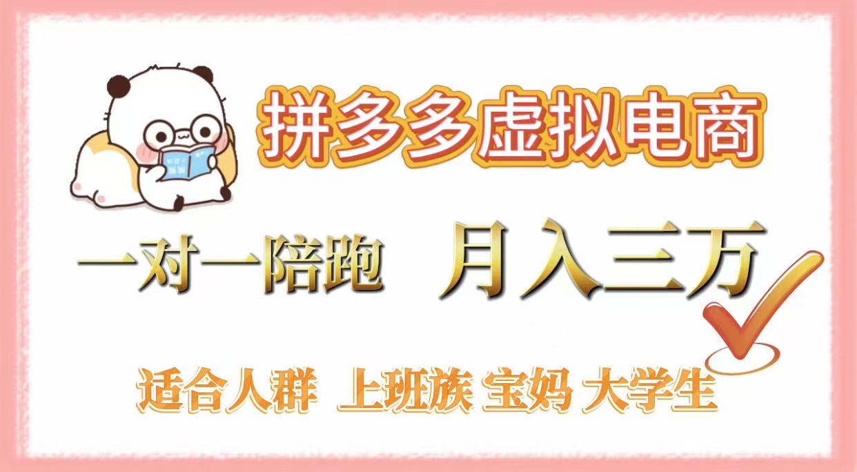 拼多多虚拟电商，一对一陪跑，月入3万，0囤货，轻资产，不发货-金点子优创