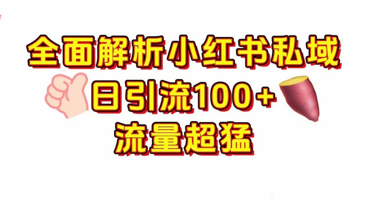 小红书私域引流 每天加100+-金点子优创