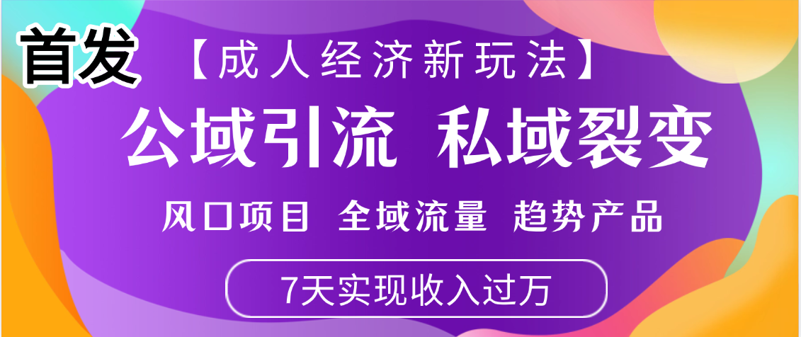 首发：【成人经济新玩法】市面独家玩法，风口项目、全域流量、趋势产品，7天实现月入过万-金点子优创