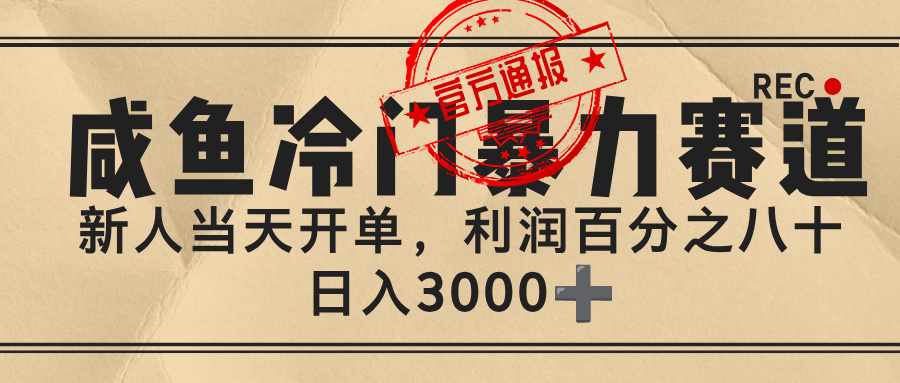 闲鱼，冷门暴力赛道，一单 80%利润，新人轻松日入 3000+-金点子优创