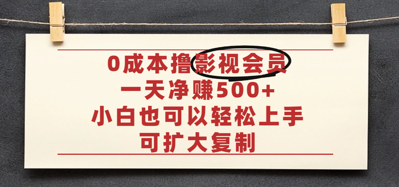 亲测，0成本可批量操作，靠卖影视会员实测月入30000+-金点子优创