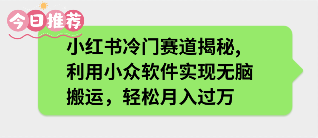 小红书冷门赛道揭秘,利用小众软件实现无脑搬运，轻松月入过万-金点子优创