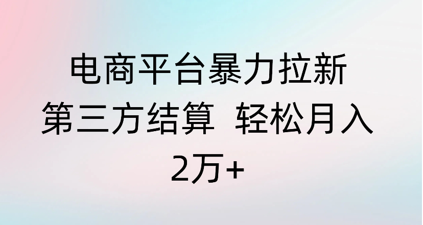 电商平台暴力拉新第三方结算 轻松月入2万+-金点子优创