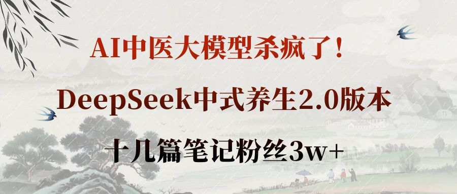AI中医大模型杀疯了！DeepSeek中式养生2.0版本，十几篇笔记粉丝3w+-金点子优创